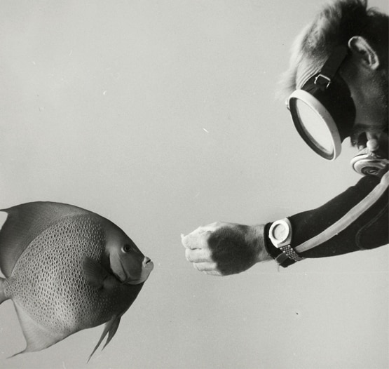 DOXA About DOXA About